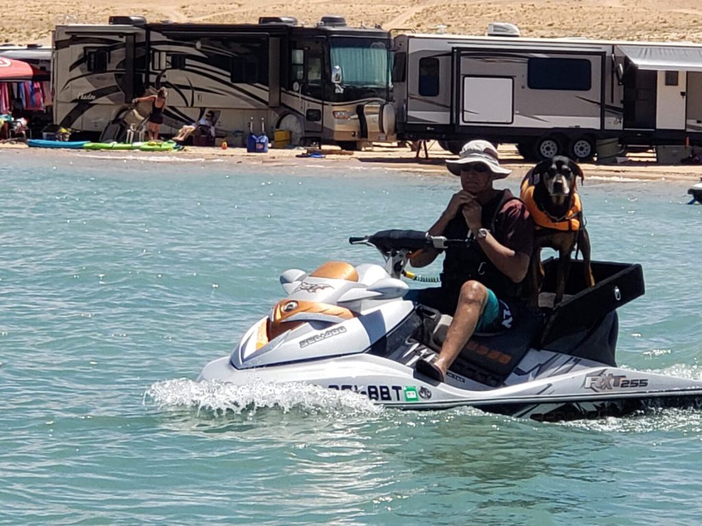 Man and dog on a jet ski in front of RVs