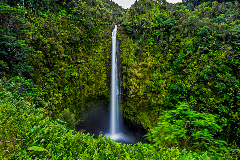 Hawaii Akaka Falls