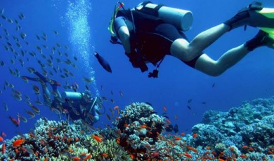 Scuba diver swims with fish among coral reef