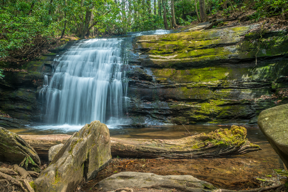 The beautiful and scenic waterfall Long creek falls in the north Georgia mountains with rocks boulders and a log and surrounding forest in springtime
