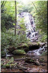 Horse trough Falls georgia