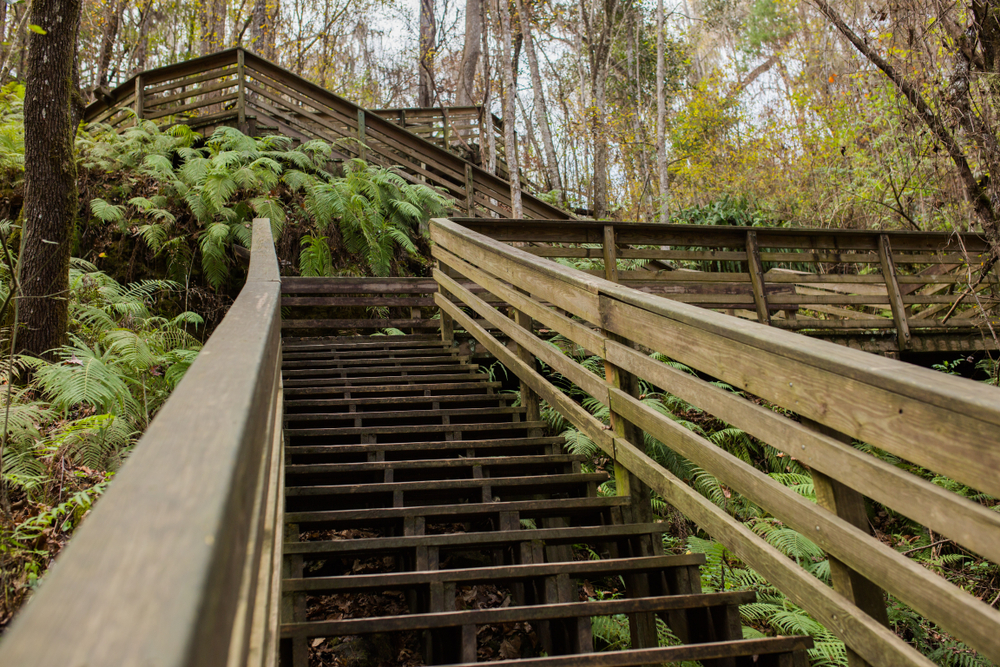 Devil's Millhopper wooden stairs in Gainesville, FL