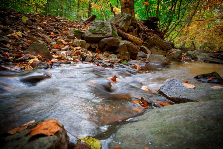 Water streams over the rocks at a stream in Brandywine Creek State Park, Delaware