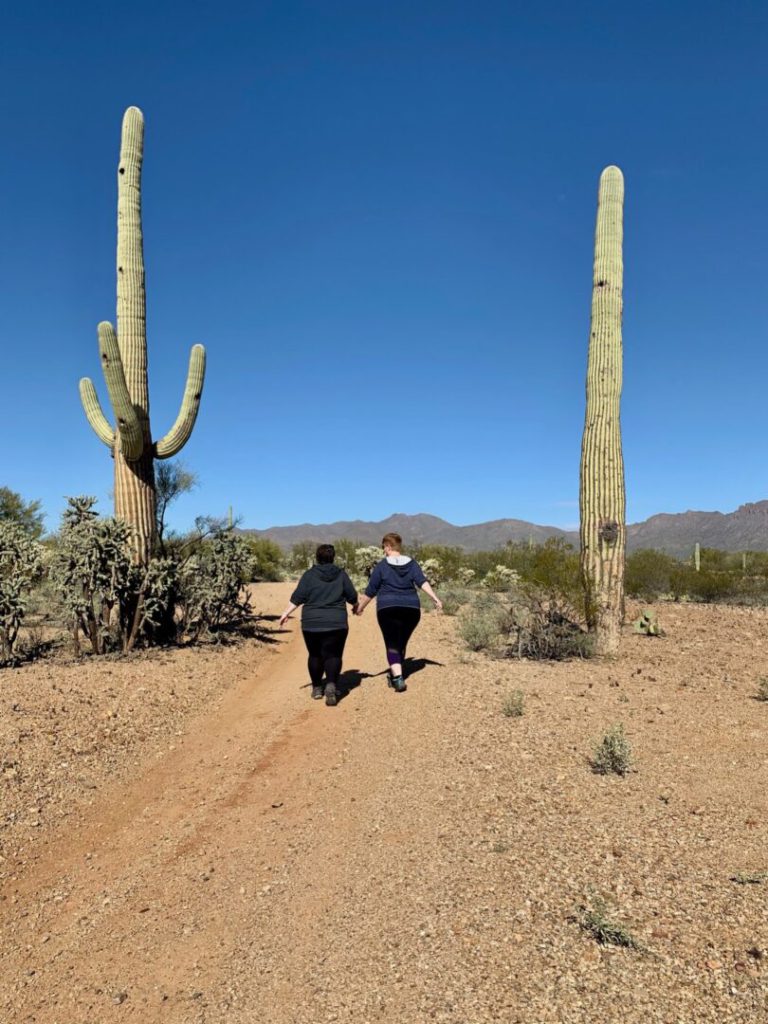 Couple walks in desert between two very tall cacti