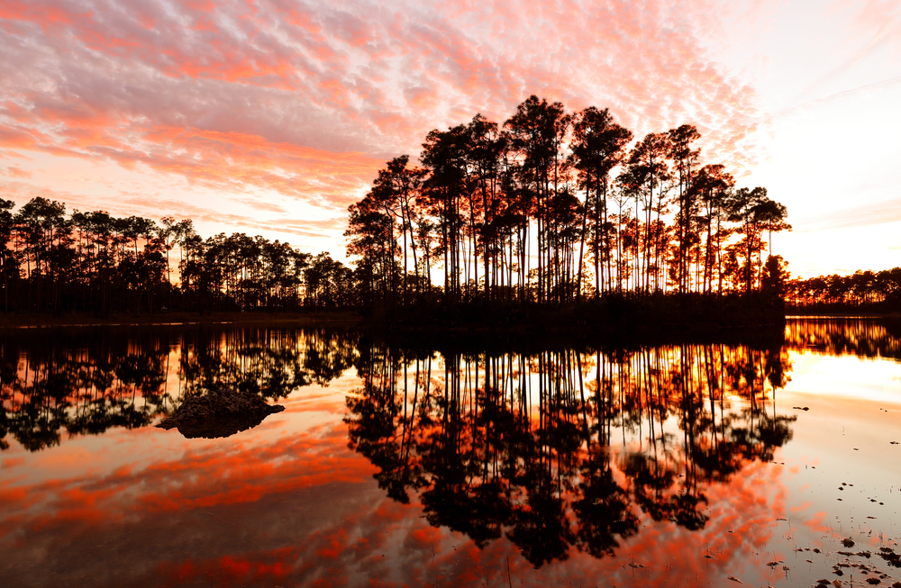 Long Pine Key Lake at Sunset, Everglades National Park, Florida, USA. Everglades National Park is a U.S. National Park in Florida that protects the southern 20 percent of the original Everglades