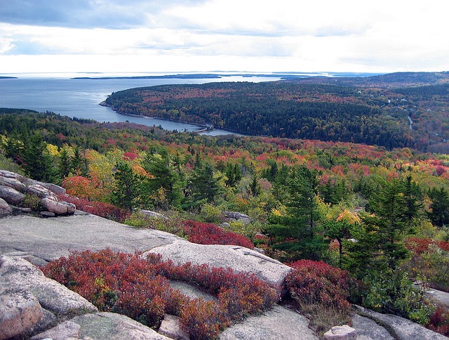 View of Acadia National Park in fall