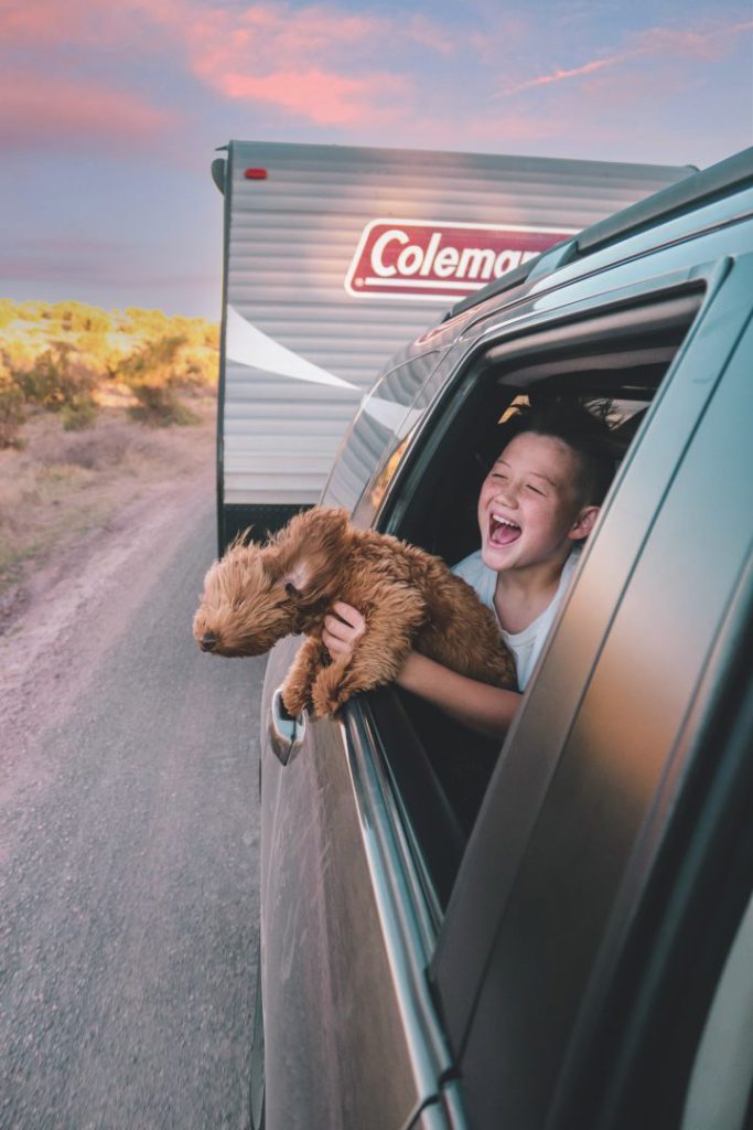 boy with his dog hanging out the car window