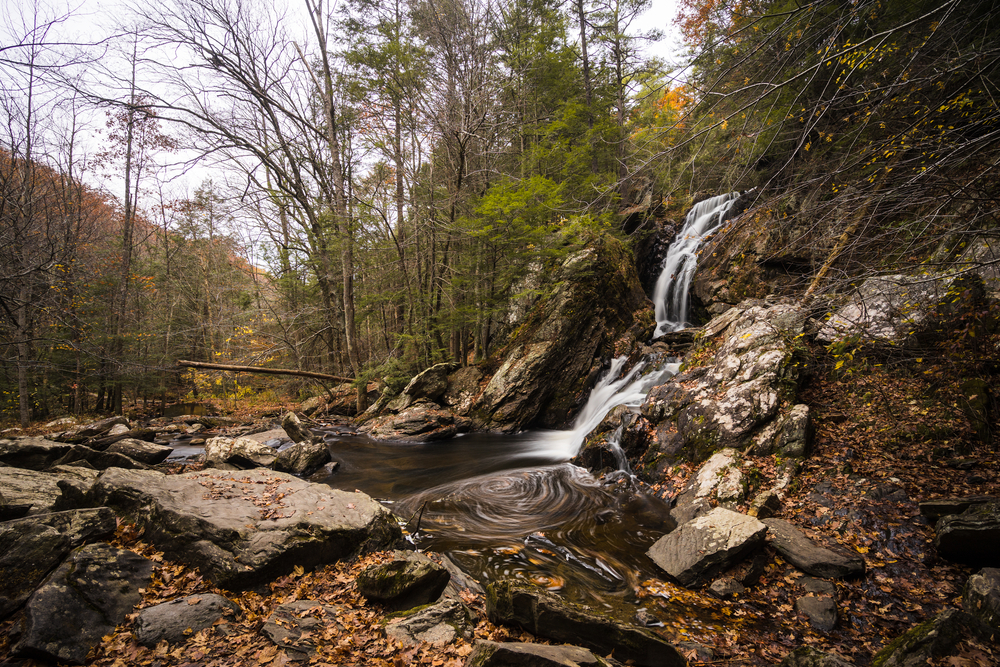 Fall Foliage in Campbell Falls State Park