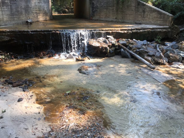 The Top 9 Waterfalls in Louisiana RVshare