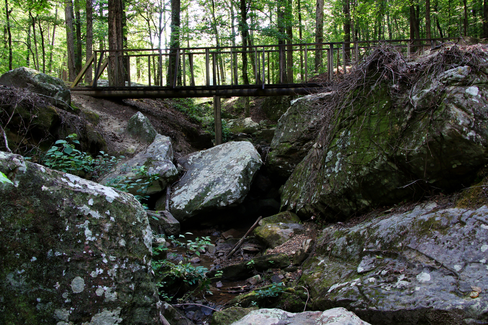 Walking bridge and stone Tishomingo State Park