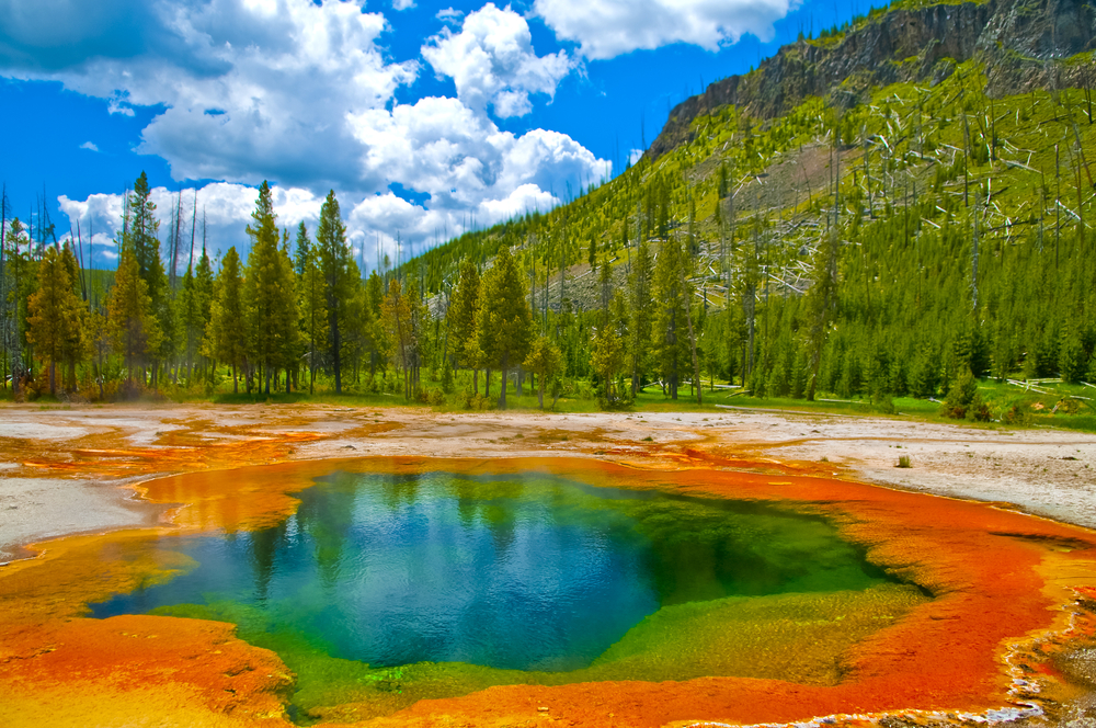 Deep green blue geyser pool in yellowstone national park