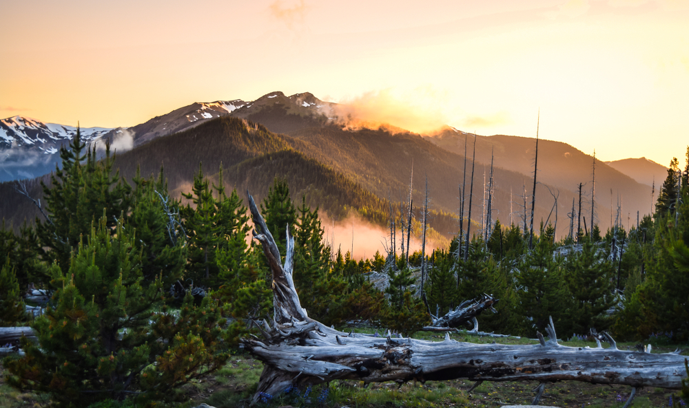 Olympic National Park in Washington State - Deer Park Campground