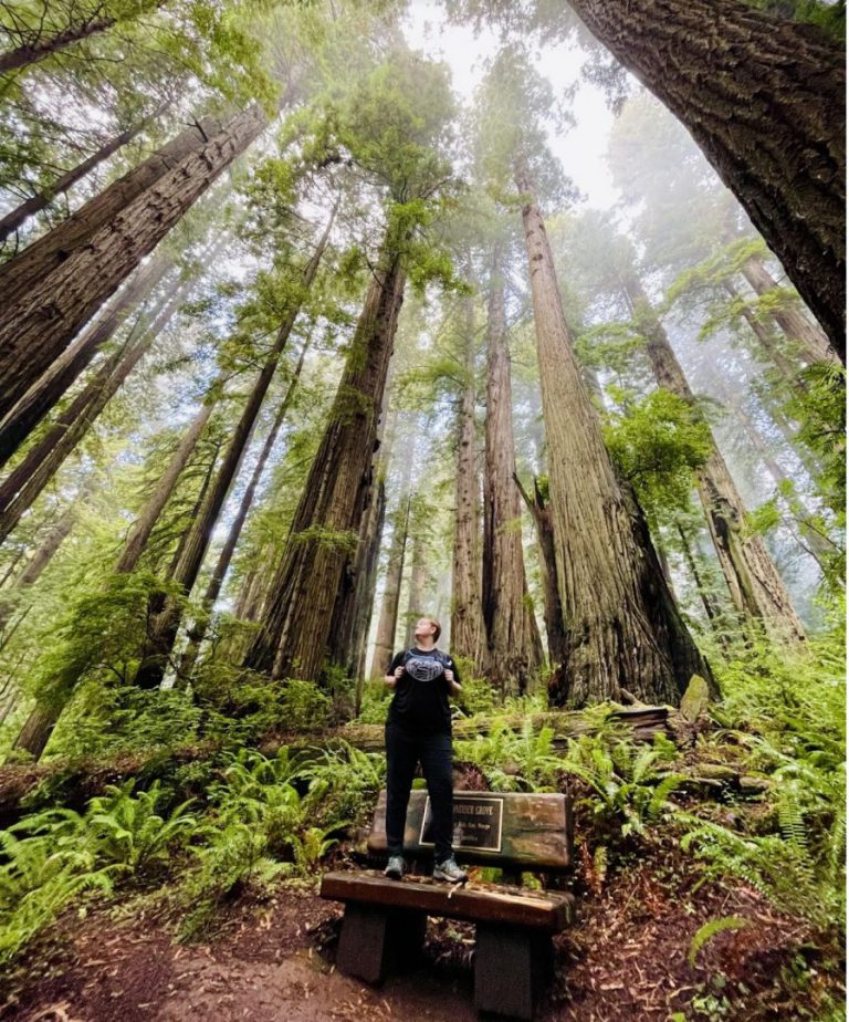 woman standing in redwood forest