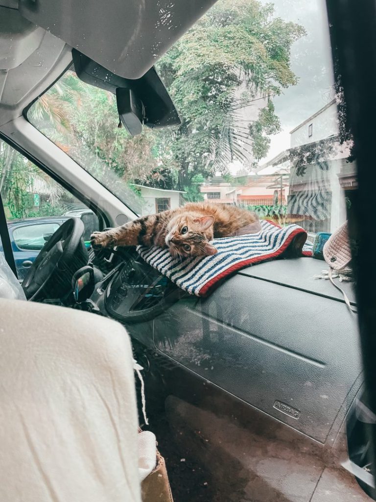 cat sleeping on an rv dashboard