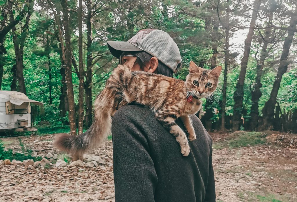 cat on a man's shoulder in the woods