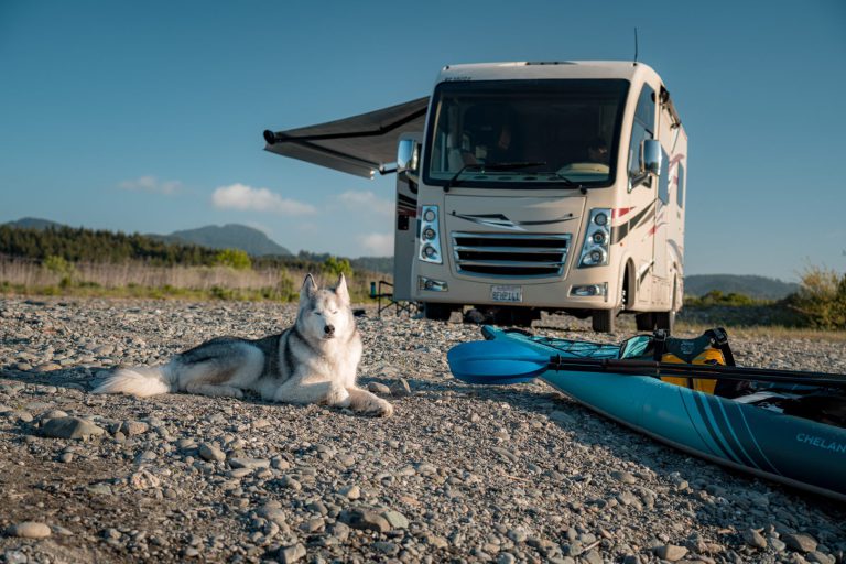 rv parked on the beach with a dog