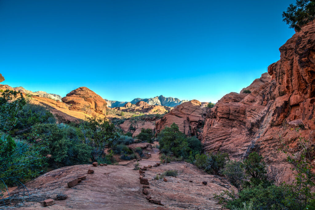 Red Cliffs National Conservation Area and Snow Canyon State Park
