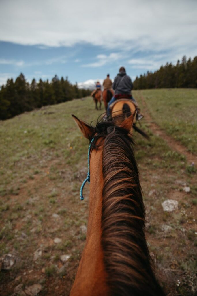 Horseback riding at South Fork Lodge