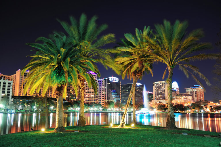 Palm trees line the bay in Orlando at night