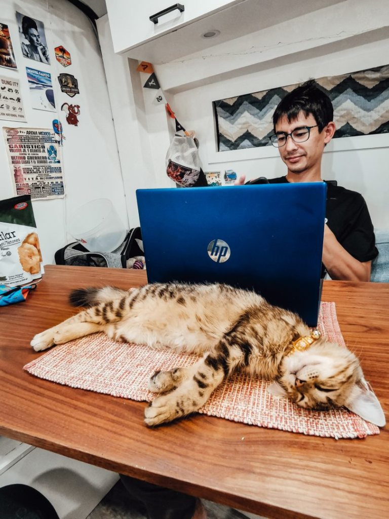 man working at his laptop with a cat laying in front of it
