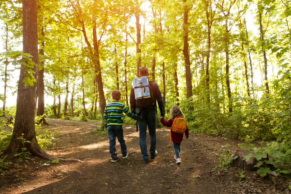 Parent holds the hands of their two children while walking through shaded woods