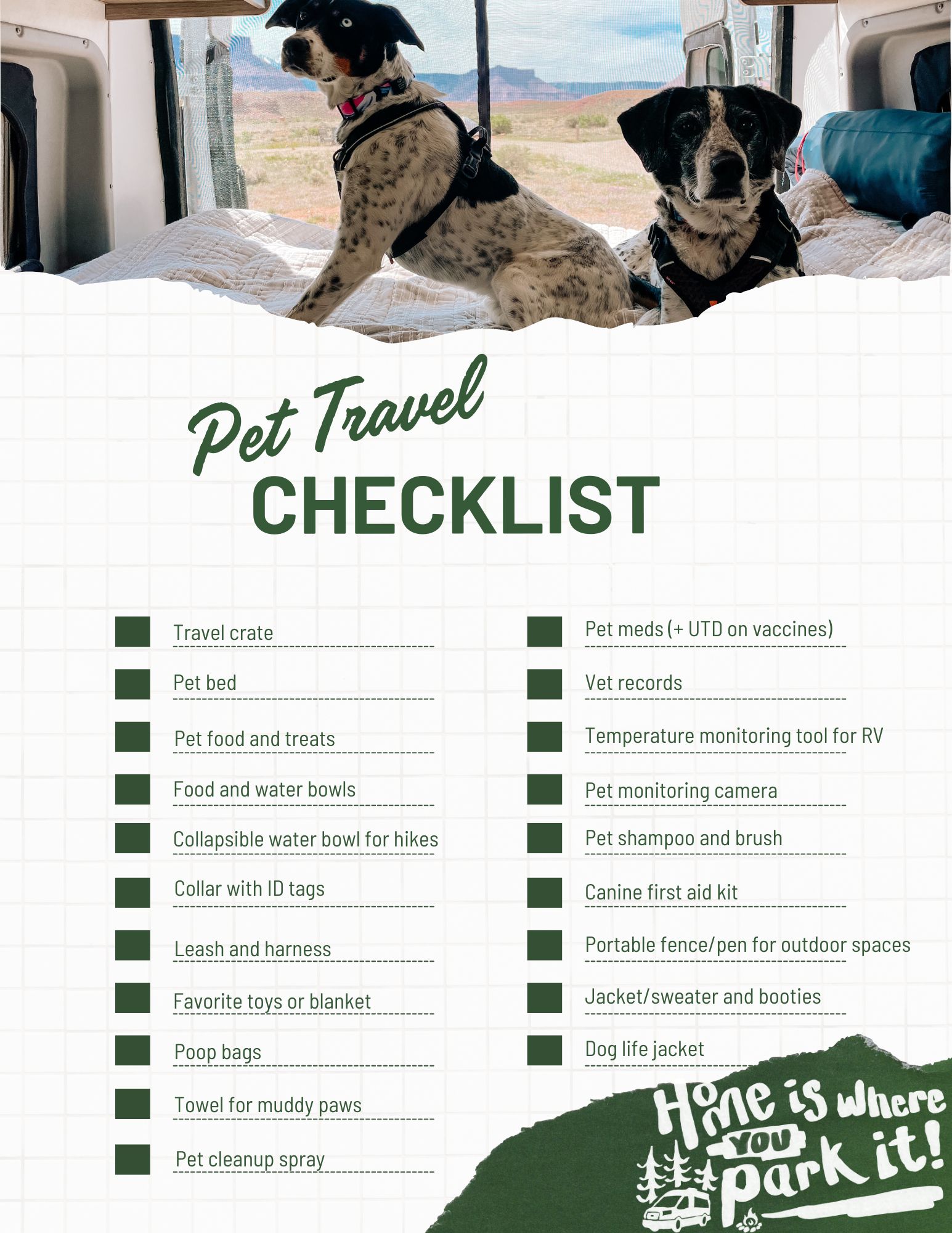 What to pack: 14 essentials for hiking and camping with a cat – Adventure  Cats