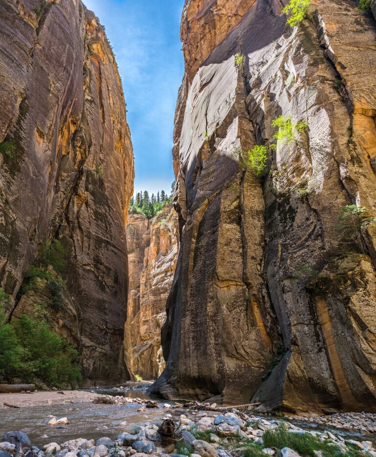 The Narrows, with a river at the bottom and canyons on each side, at Zion National Park