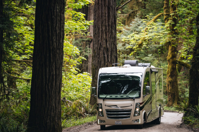 an RV on a forest road