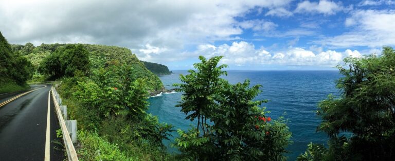 The road to Hana, with palm trees and the ocean below