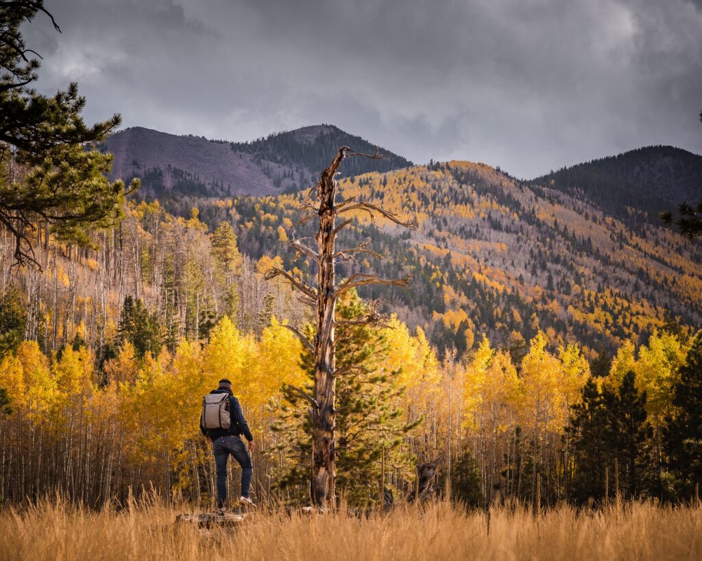 Man hiking outside of Flagstaff