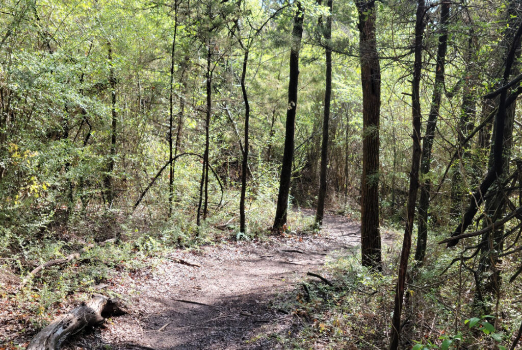 The Boulder Park Trail through a wooded forest