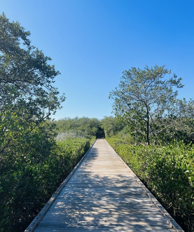 the Upper Tampa Bay Eagle Trail