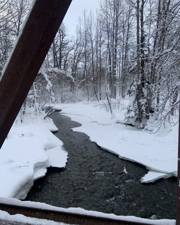 The Campbell Tract Loop National Recreation Trail in winter