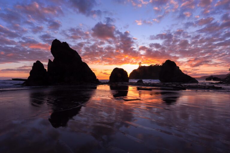 Weekend Trips Near Portland: Ruby Beach