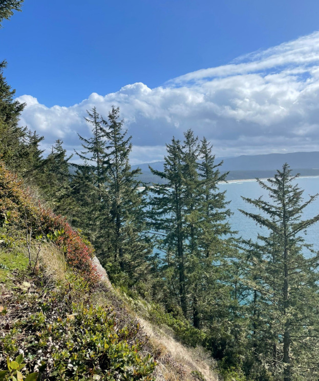 Marquam Trail to Council Crest Hike Trail