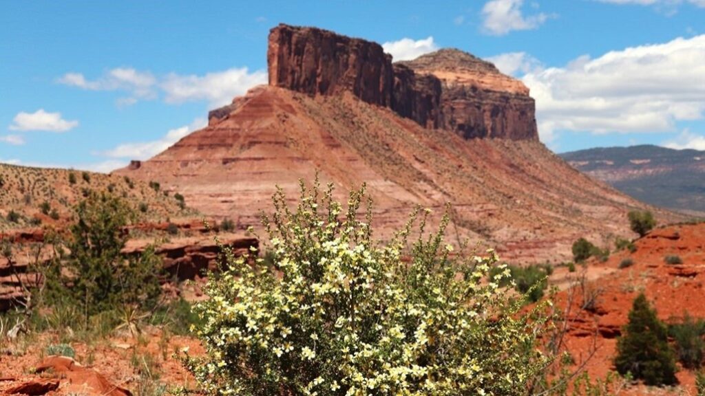 red rock mountains