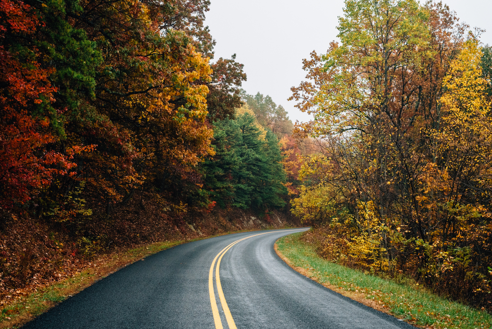 road in the fall with foliage
