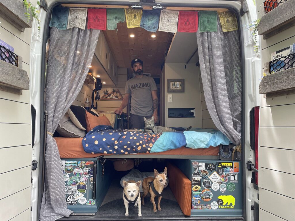 man inside converted van with dogs