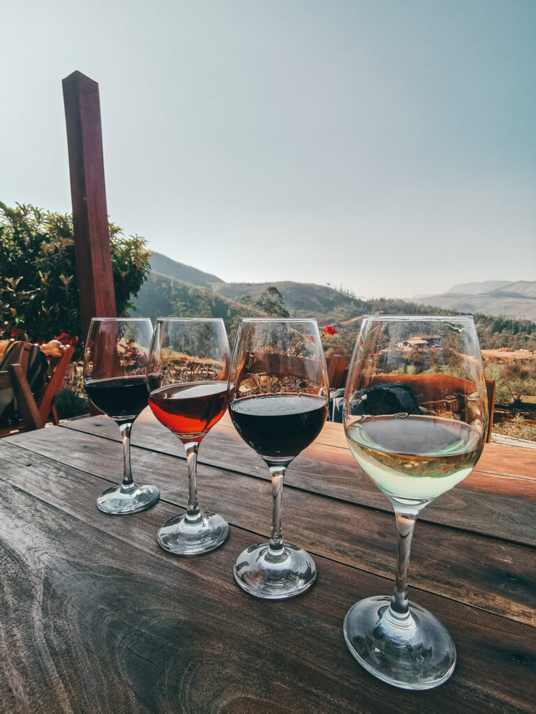 wine glasses with different wines in a winery
