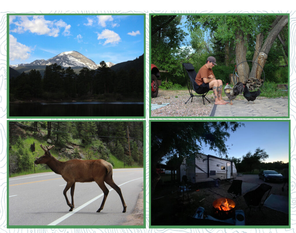 picture collage, mountains, wildlife and campfire 