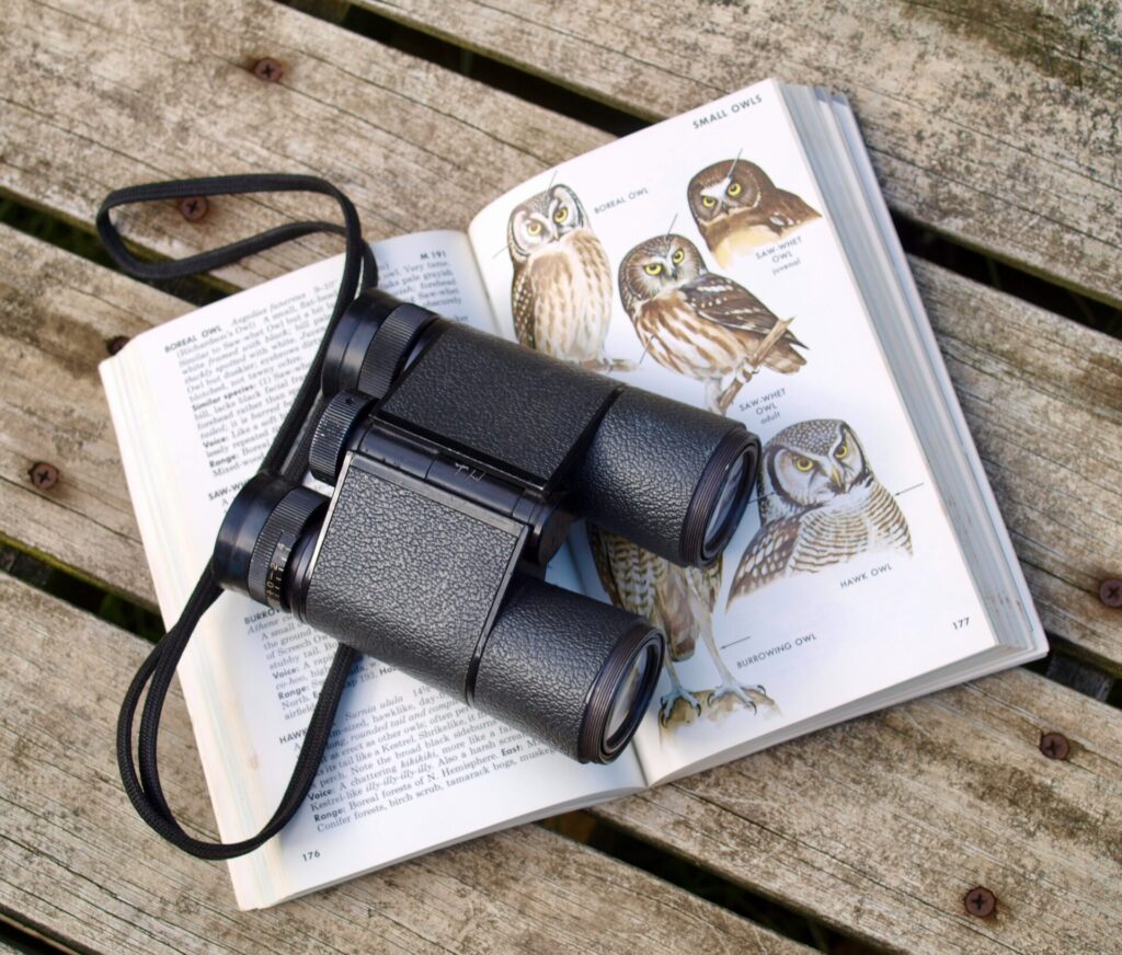 binoculars with a bird guide