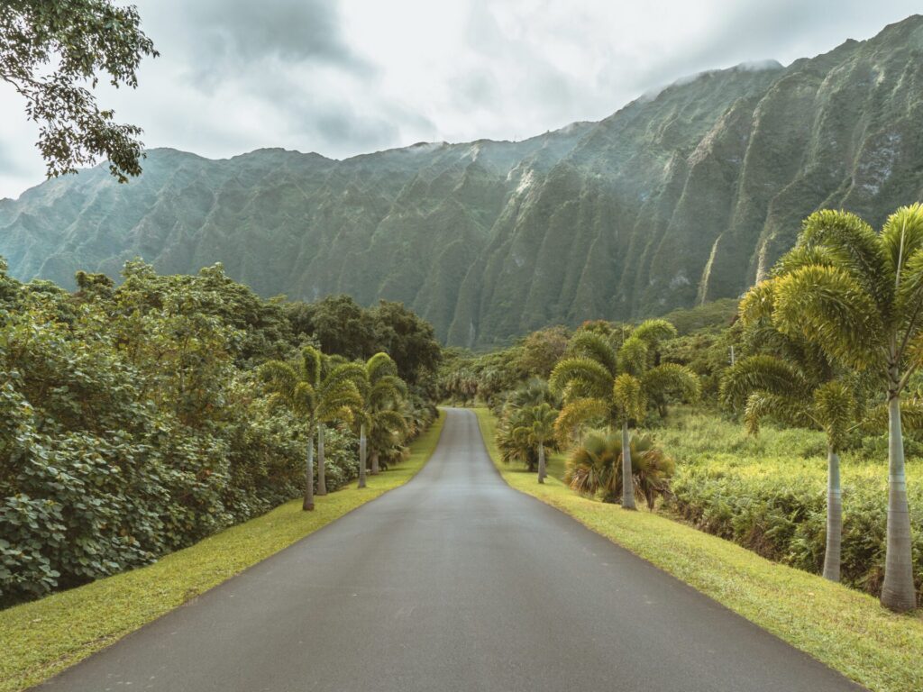 Road in Hawaii