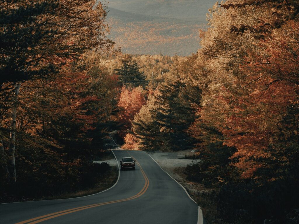 Road in Maine
