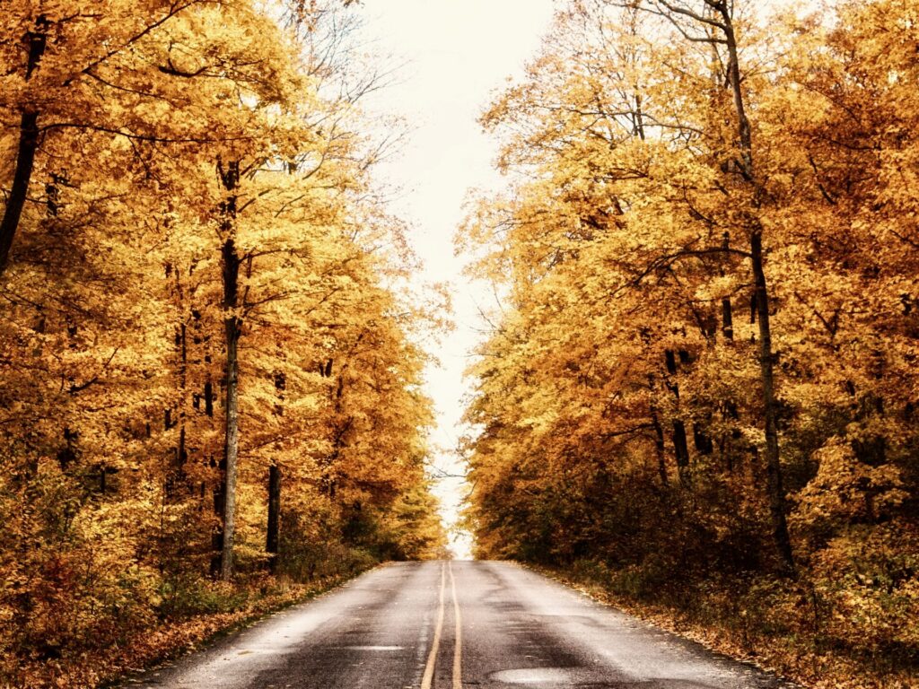 Road in Michigan 
