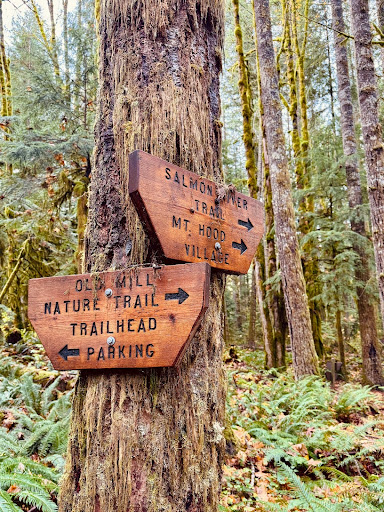 Trail signs in Mt. Hood 