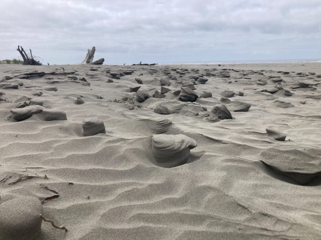 Weird sand formations at a beach in Washington. 